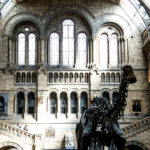 Natural History Museum